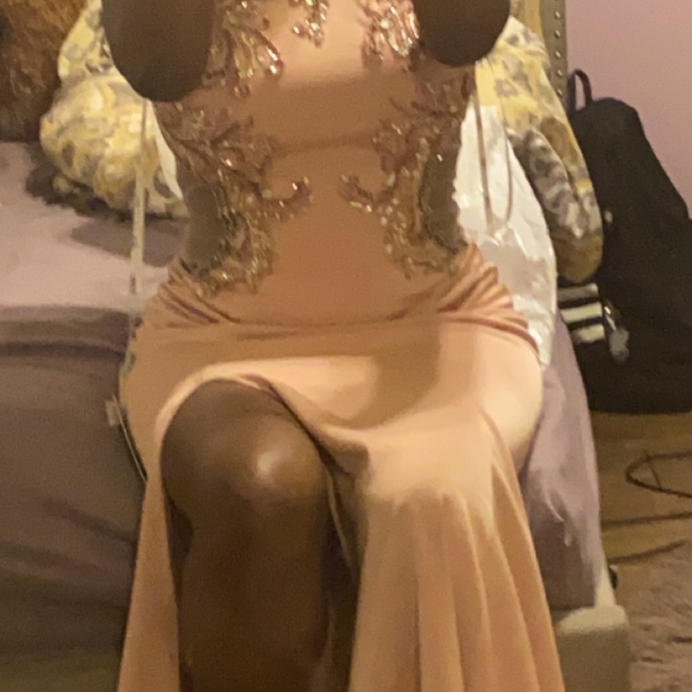 Hi! I am selling this prom dress for $250 this is a GSL Apparel dress.
